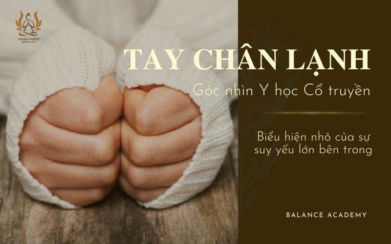 Tay Chân Lạnh & Huyết Áp Thấp: Cảnh Báo “Dương Khí Hư” Ở Phụ Nữ & Lời Kêu Cứu Từ Bên Trong