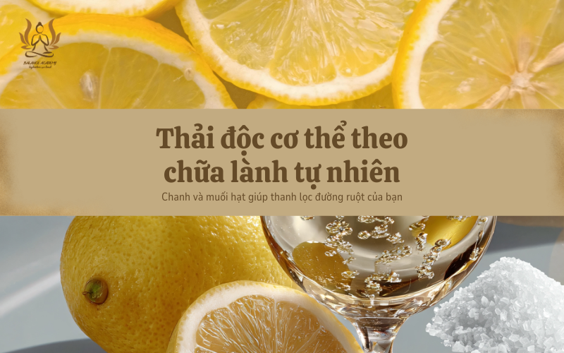 Thải Độc Cơ Thể Tại Nhà: Mẹo Đơn Giản Với Chanh & Muối Hột (Chuẩn YHCT) Giúp Bạn Tìm Lại Sự Nhẹ Nhõm