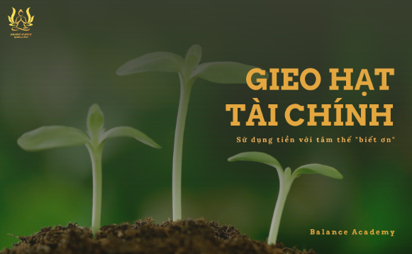 Gieo Hạt Tài Chính